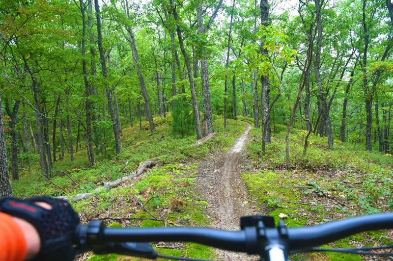Big M Trails
